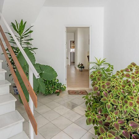 Apartamento Los Naranjos En Vejer 贝赫尔-德拉弗龙特拉 外观 照片