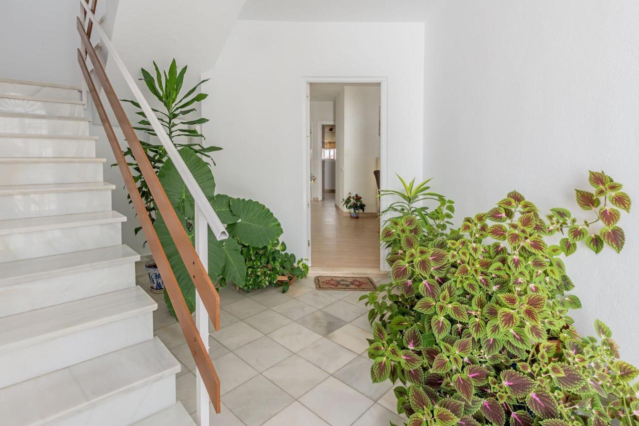 Apartamento Los Naranjos En Vejer 贝赫尔-德拉弗龙特拉 外观 照片